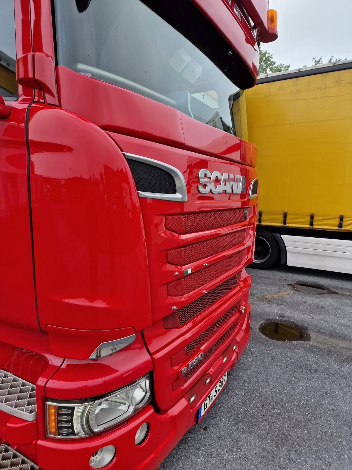 Scania R window grille