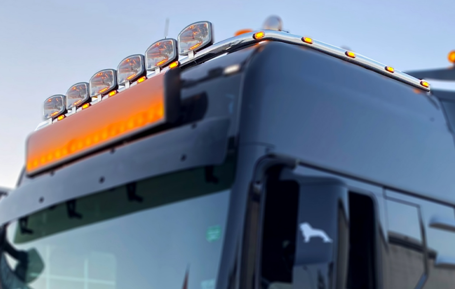 MAN TGX 2021 EDELSTAHL Lampenbügel