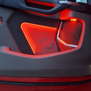 Scania NG R/S Türverkleidung - mit Beleuchtung